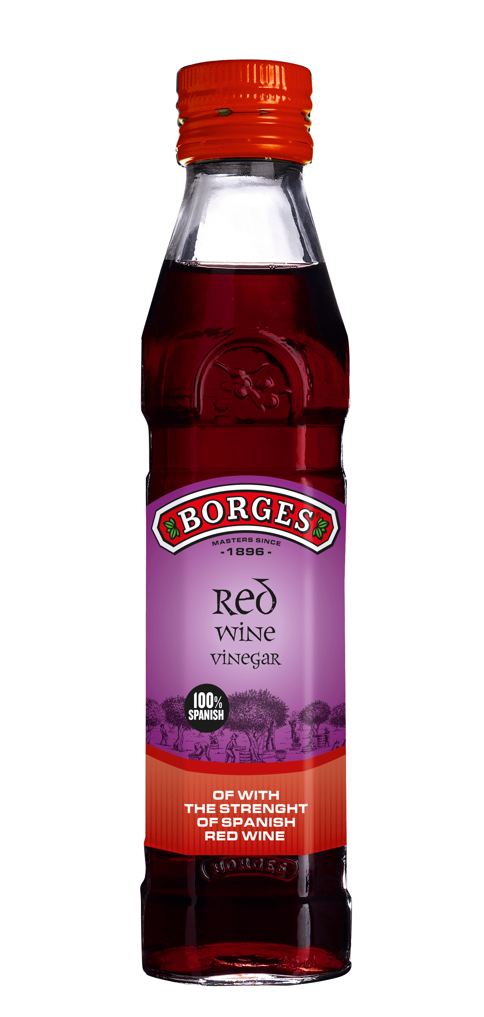vinegar - Borges