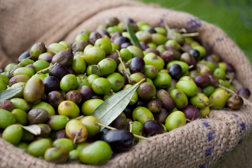 Čo je to coupage z olivového oleja?