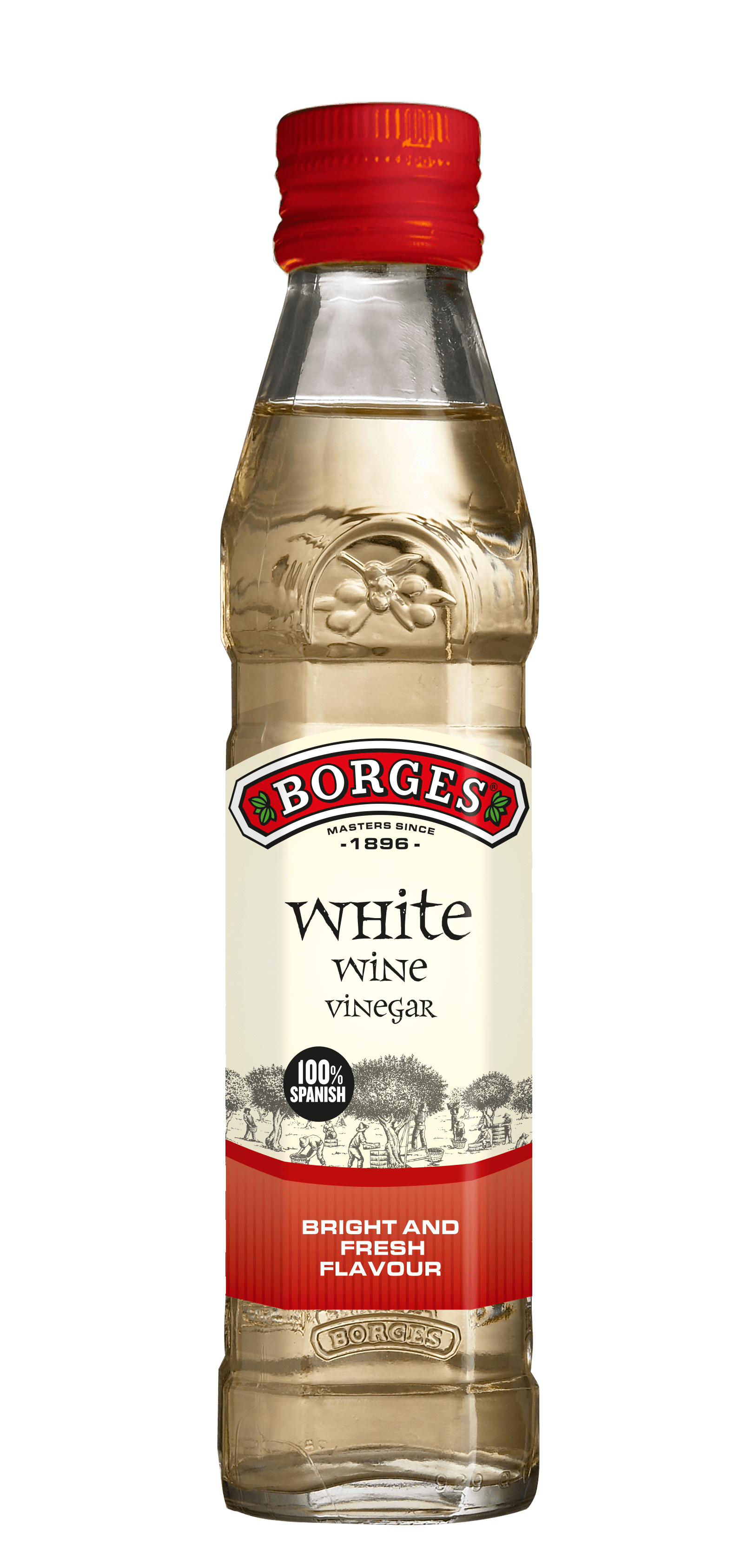 White Wine Vinegar Borges