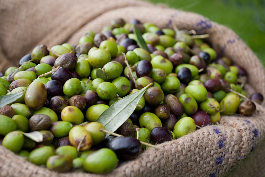 What is an olive oil coupage?